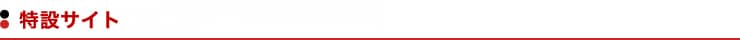 特設サイト